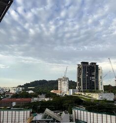 Blk 2 Toh Yi Gardens (Bukit Timah), HDB Executive #506089071